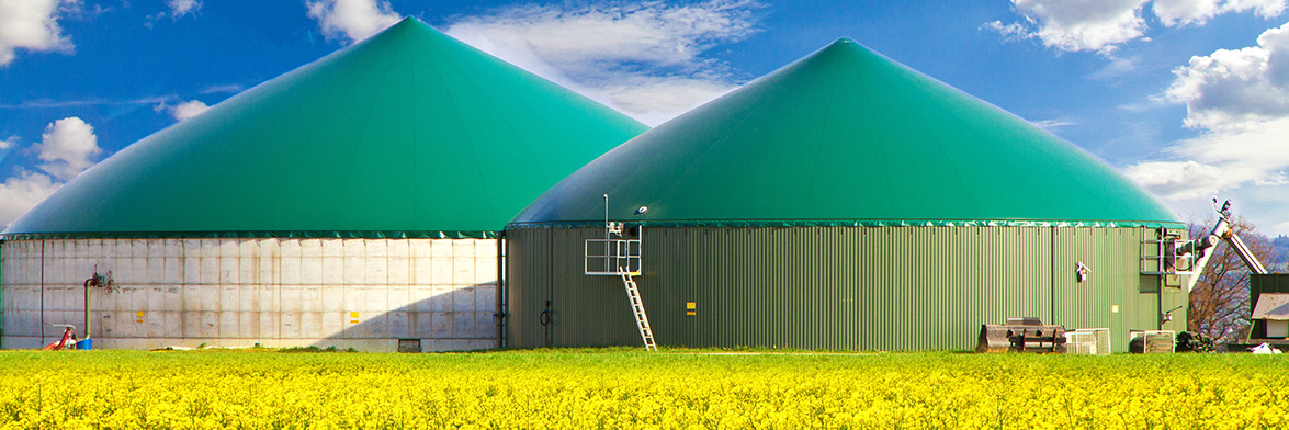 Biogasanlage im Rapsfeld